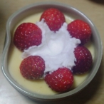 2010.02.061.jpg