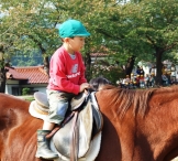200810171.jpg