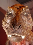 2011.08.07_3-1.jpg