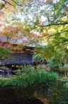 2011.10.27_15.jpg